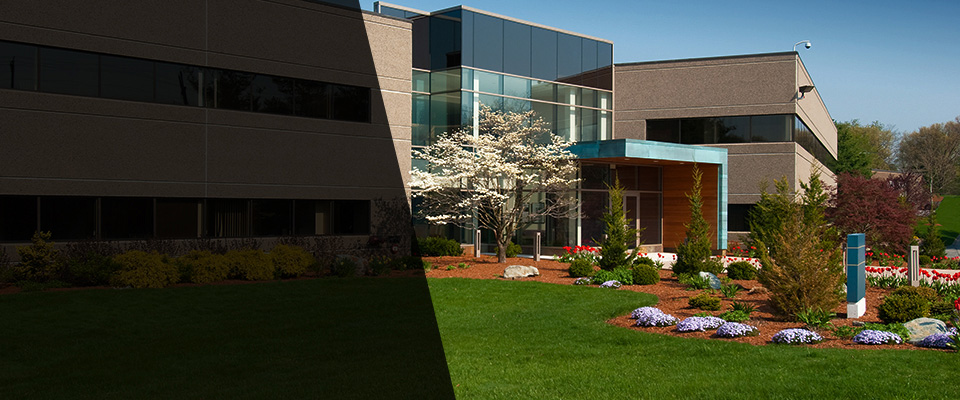 Spotswood Landscapers