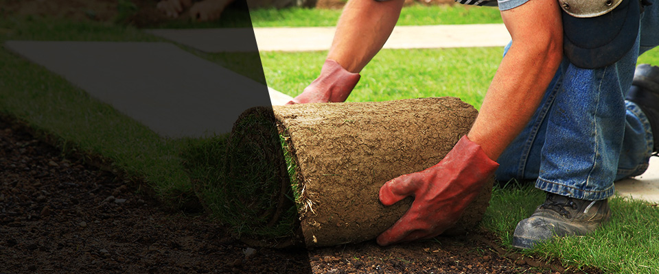 Spotswood Landscapers